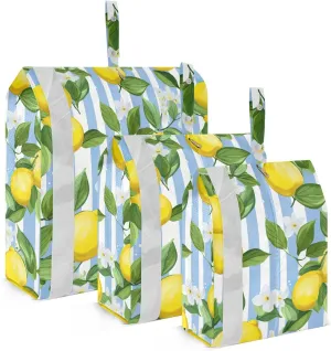 Yellow Lemon Stripe Packing Cubes for Travel 3 Set Packing Cubes Large Suitcase Organizer for Carry On